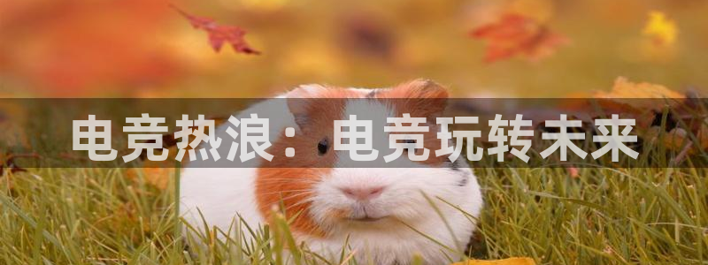 易游电竞网咖：电竞热浪：电竞玩转未来