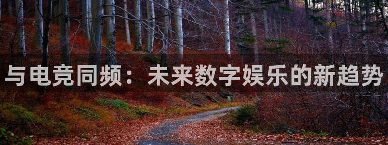 易游电竞馆：与电竞同频：未来数字娱乐的新趋势