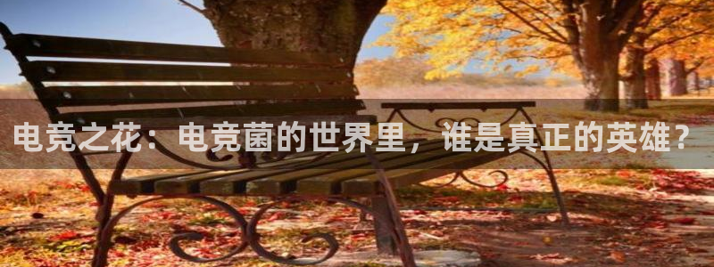 易游电竞中国区：电竞之花：电竞菌的世界里，谁是真正的英雄？