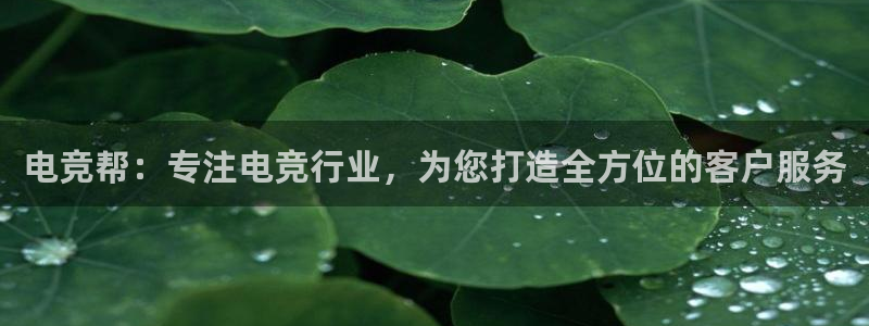 易游电竞官网：电竞帮：专注电竞行业，为您打造全方位的客户服务