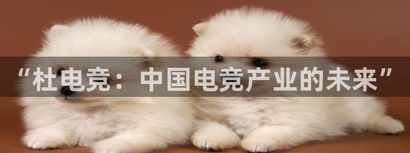 易游电竞王者荣耀大赛：“杜电竞：中国电竞产业的未来”