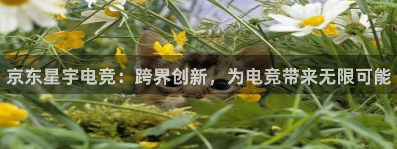 易游电竞中国区：京东星宇电竞：跨界创新，为电竞带来无限可能