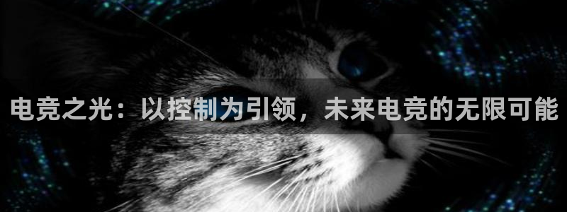 易游电竞酒店：电竞之光：以控制为引领，未来电竞的无限可能