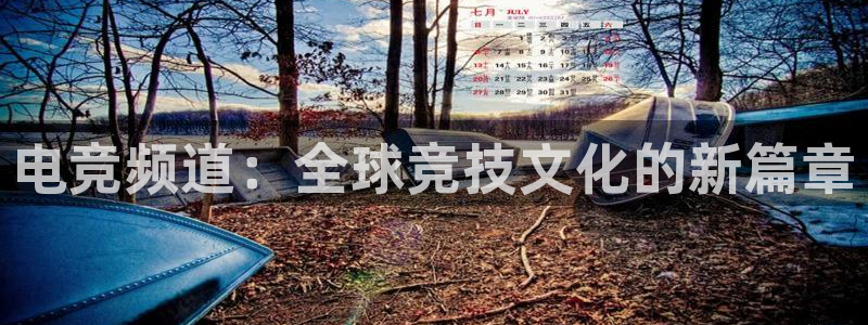 易游电竞平台：电竞频道：全球竞技文化的新篇章
