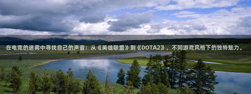 易游电竞淮阴区：在电竞的迷雾中寻找自己的声音：从《英雄联盟》到《DOTA2》，不同游戏风格下的独特魅力。
