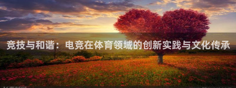 易游电竞解说：竞技与和谐：电竞在体育领域的创新实践与文化传承