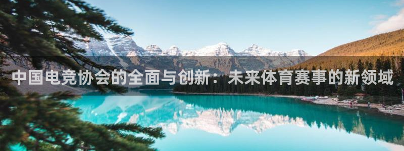 易游电竞赛事直播：中国电竞协会的全面与创新：未来体育赛事的新领域