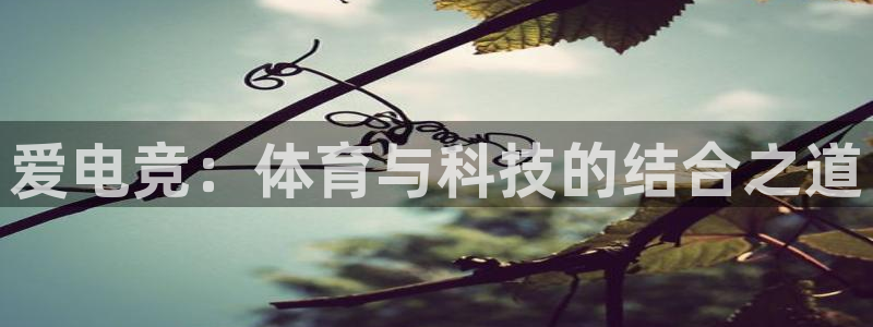 易游电竞王者荣耀大赛：爱电竞：体育与科技的结合之道