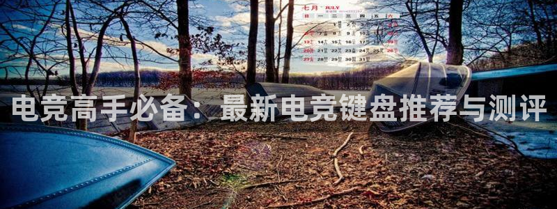 易游电竞馆：电竞高手必备：最新电竞键盘推荐与测评