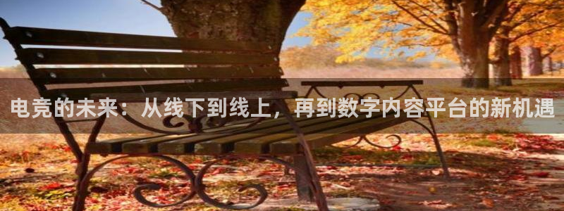 易游电竞王者荣耀大赛：电竞的未来：从线下到线上，再到数字内容平台的新机遇