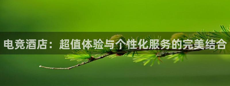 易游电竞淮阴区：电竞酒店：超值体验与个性化服务的完美结合