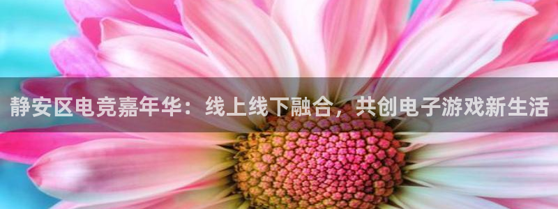 易游电竞：静安区电竞嘉年华：线上线下融合，共创电子游戏新生活