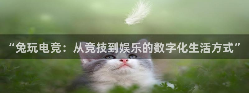 易游电竞平台：“兔玩电竞：从竞技到娱乐的数字化生活方式”